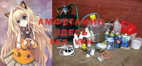 ГАЛЛЮЦИНОГЕННЫЕ ГРИБЫ Пересвет
