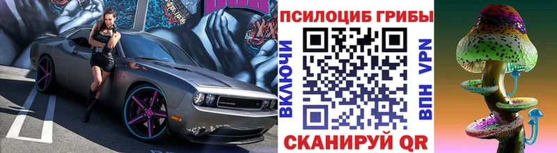 Псилоцибиновые грибы Cubensis  Североморск 